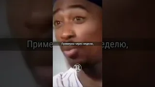 Будьте логичными! #мотивация #2pac #интервью #сосмыслом #логика #несдавайся #успех