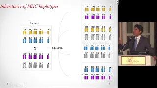 Brigham Renal Board Review,  rejection and immunology