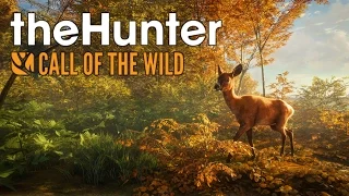 The Hunter: Call of the Wild - Fox, Squirrel, and Deer Hunting! - The Hunter Gameplay