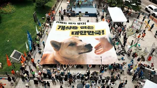 LCA & ALW Protest the South Korean Dog Meat Trade