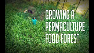 Aanandaa Farms: How we converted degraded land into a beautiful food forest using permaculture