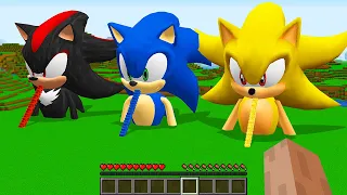 NEW SECRET STAIRS TO HOUSE SONIC vs SUPER SONIC VS SHADOW SONIC in Minecraft Animation