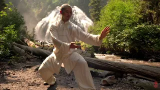 24 Tai Chi with Waterfall