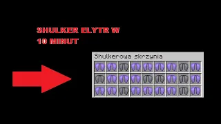 DDOSOWANIE GRACZY NA ANARCHIA.GG  *SHULKER ELYTR W 10 MINUT*