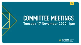 Committee Meetings - 17 November 2020