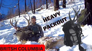 Spot and Stalk Mule Deer Hunt - BC