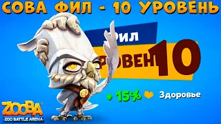 КАЧАЕМ ФИЛА НА 10 УРОВЕНЬ В ИГРЕ ZOOBA