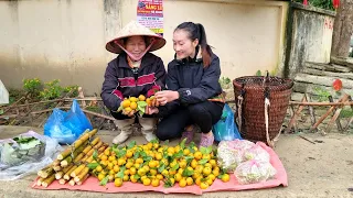 Agricultural Harvest ( Tangerine, Papaya Flower, Sugarcane ) Goes to the market sell | Ly Thi Tam