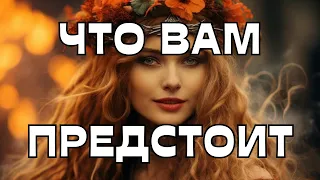 🚨ЧТО ВАМ ПРЕДСТОИТ🫣☝️