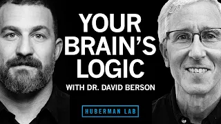 Dr. David Berson: Your Brain's Logic & Function | Huberman Lab Podcast #50