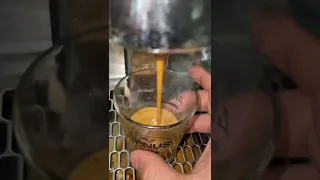 صاحبي غي سربي ليا عصر لي قهوة مزيرا ☕️