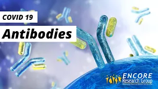 COVID 19 Antibodies Explained