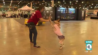 Houston Dog Show