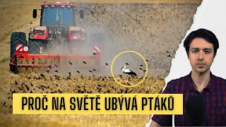 Proč na světě ubývá ptáků