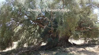 Abwûn d'bwaschmâja - Lord's Prayer - Meditation - Mantra - beautiful