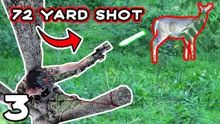 PERFECT 72 YARD SHOT ON WHITETAIL | New PB on Whitetail | Kentucky Deer Hunt | Deer Season Ep. 3