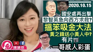 美制裁縮水，放生盧偉聰，明剃黃之鋒眼眉？一哥感人訪問【有感動片｜慎入】國安處再亮劍，黎智英急向美主子求救？黃之鋒搵小黃人笨實錄，被揭呃錢秘笈？｜陳穎欣JoephyChan｜2020.10.15