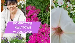 Moje Kompozycje Kwiatowe w donicach na taras