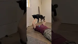 When you don't have weights, but have a cat?
