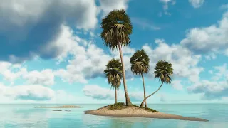 10 Hours 🌴 Palmas Island in the Ocean Nature Animals Sounds. Relaxing Tropical. Live Background.