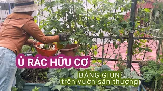 109 Ủ RÁC HỮU CƠ BẰNG GIUN/ NUÔI GIUN trên vườn sân thượng để thu hoạch giun và phân ủ bón cây trồng