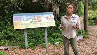 Smith Mound, Calusa Heritage Trail, Randell Research Center