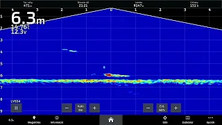 Panoptix Live Scope System - LVS 34 + GPS Map 8412 xsv - 15 kg Catfish Fight / 15 kg - os harcsa