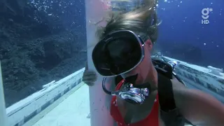 The attractive female scuba killer! [additional scenes + HD upgrade]