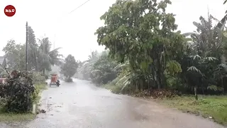 Walking in Heavy Rain and Thunderstorm all day in my Village
