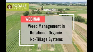 Webinar: Weed Management in Rotational Organic No-Tillage Systems