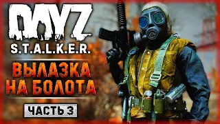 ЧТО НОВОГО НА БОЛОТАХ? ОХОТА НА КОНТРОЛЛЕРОВ! | DayZ Anomaly Stalker Pve ☢️ | Часть #3