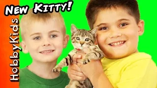 HobbyKids Get a NEW Kitty Cat! What Should We Namer Her?