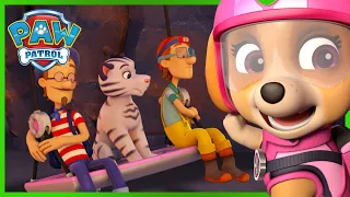 Pieski na misji ratunkowej wyciągają Turbotów i tygrysy z wulkanu! - Psi Patrol PAW Patrol po polsku