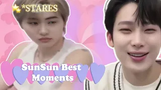 sunsun (sunoo and sunghoon)moments you might missed