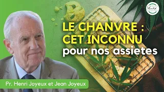 Webinaire gratuit : Le chanvre cet inconnu pour nos assiettes