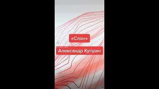 "Слон" - Александр Куприн. Краткий пересказ.