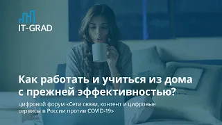 Как работать и учиться из дома с прежней эффективностью?