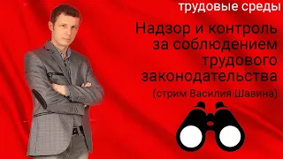 Трудовые споры (стрим Василия Шавина)