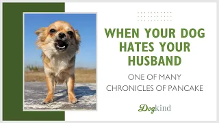 Dog barking at husband case study