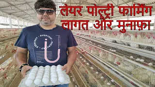 लेयर पोल्ट्री फार्मिंग में कितना लागत और कितना मुनाफा Layer egg poultry farm investment and profit