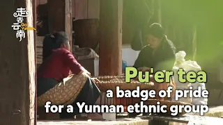 Go! Yunnan: Pu'er tea - a badge of pride for a Yunnan ethnic group