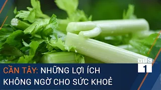 Cần tây: Những lợi ích không ngờ cho sức khoẻ | VTC1