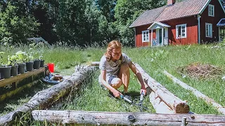 Days Of Summer, Living Simply At The Cabin (Story 22)