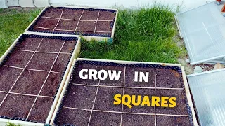 How to grow more in less space: Square Foot Gardening