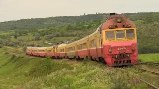 Дизель-поезда Д1-780+706/770 на о.п. Бумбэта / D1-780+706/770 DMU's at Bumbata stop