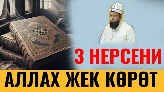 3 НЕРСЕНИ АЛЛАХ ЖЕК КӨРӨТ