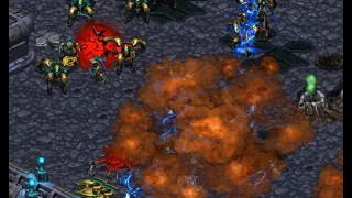 Action 🇰🇷 (Z) vs Mini 🇰🇷 (P) on Multiverse - StarCraft - Brood War Remastered