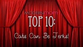Cats Can Be Jerks - ModernMom Top 10