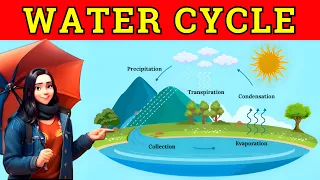 जल चक्र | वर्षा कैसे बनती है?