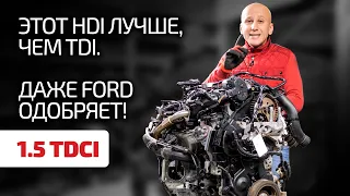 👍1.5 TDCI este un diesel francez fin pentru Ford. Care sunt dezavantajele acestuia?